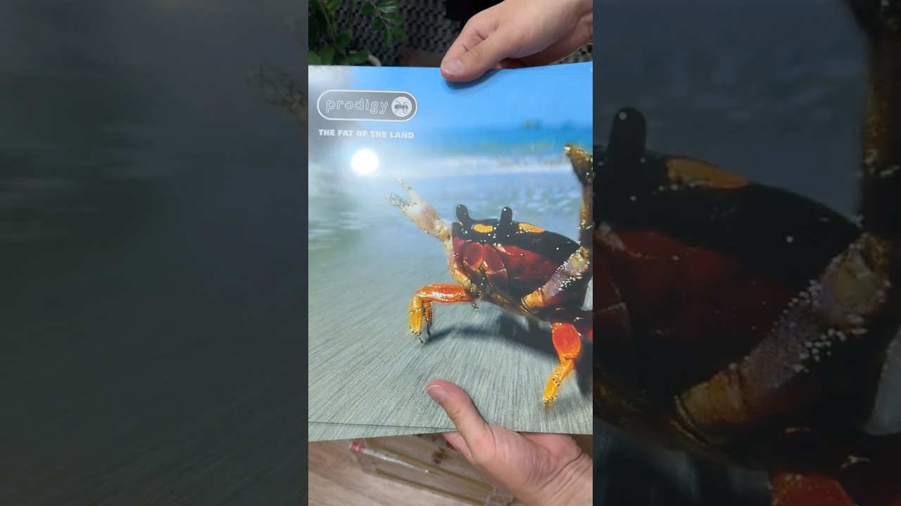 50кг виниловых пластинок - Часть 8 