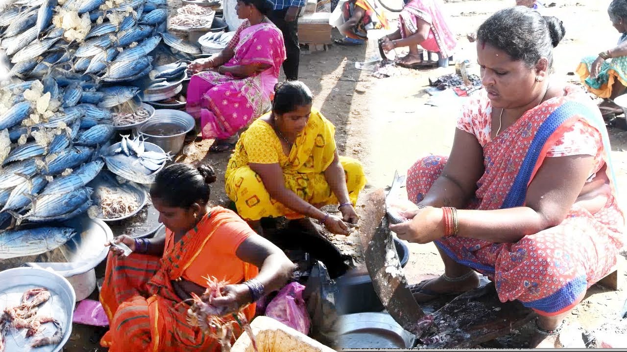 fish cutting by village ladyEarly Morning Fish Market Kakinada