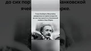 Факт про Эйнштейна 😮😮😮 #факты #фактыинтересные #топфакт #факт #эйнштейн