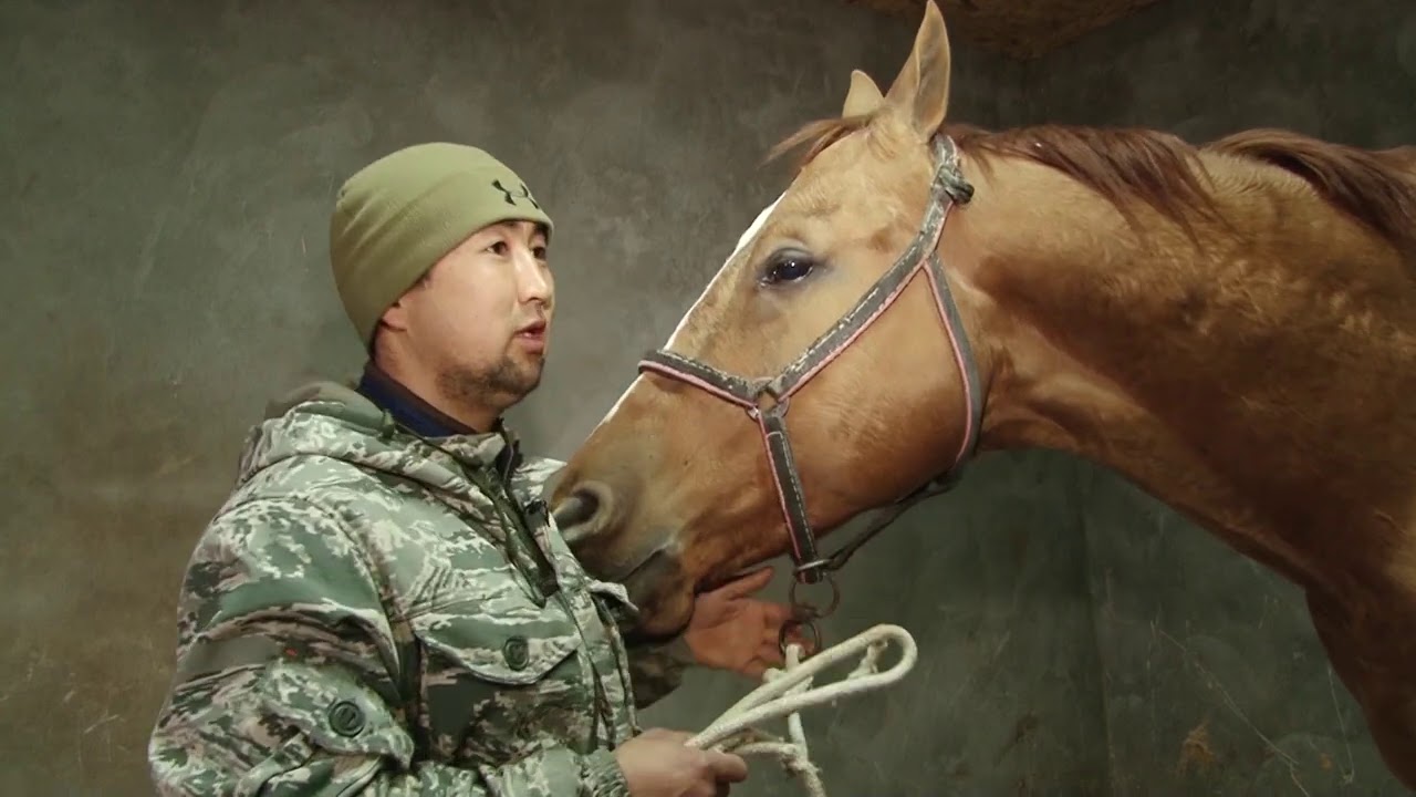 Ак-Бата конушундагы 