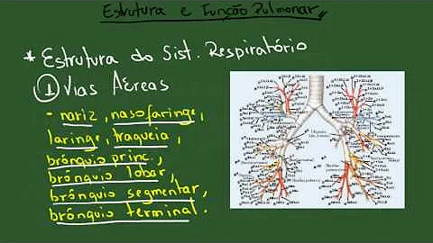 O que é uma via estrutural?