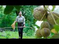 破殼而出的美味，不到秋天它是不會跳出來的【核桃】Country girl, picking walnuts back to make a variety of food｜野小妹 wild girl