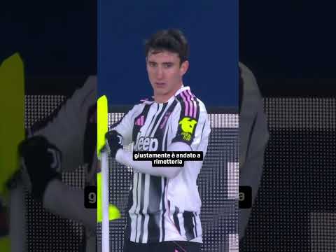 Video Cambiaso ? bandierina ? Poi la rimette a posto ?