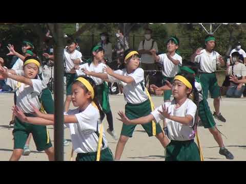 運動会小学校4年生ここあダンス