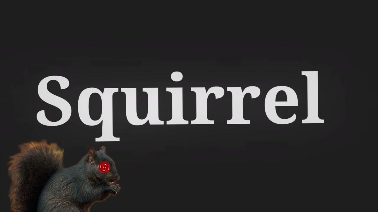 How to say "Squirrel" in English - YouTube