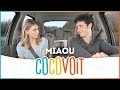 Cocovoit  miaou