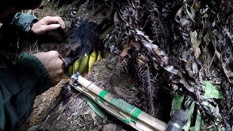 Bắt Tổ Ong Mật Hang Đá Siêu Nhiều Mật | Núi Rừng Đông Bắc