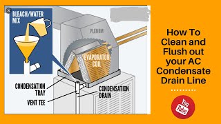 How To Clean and Flush out your AC Condensate Drain Line