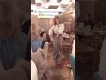 این خانم خوش استایل ایرانی با رقص در یک رستوران توجه همه رو به خودش جلب کرد