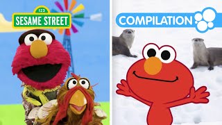 Elmo & Friends Learn About Animals! 2 HOUR Sesame Street Animal Compilation for Kids!