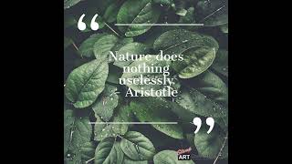 Nature does nothing uselessly
Nature does nothing uselessly. - Aristotle 🌿 Embrace the beauty and purpose in every living creature and environment around you. #Nature #Aristotle #Wisdom #PurposefulLiving #MadeWithRipl via ripl.com Nature does nothing uselessly