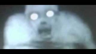 UNKNOWN CREATURE caught on camera by hunter in Louisiana - Possibly a new species in LA 