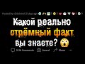 До безумия СТРАШНЫЕ ФАКТЫ