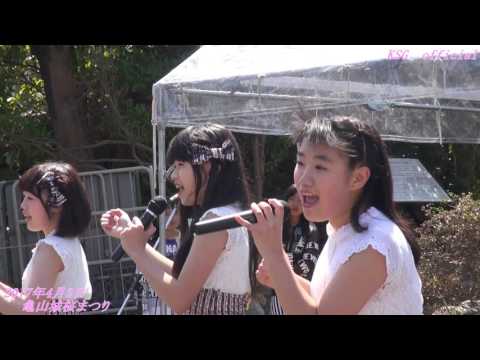 M5大声ダイヤモンド17年4月2日亀山城桜まつり【亀山シャイニングガールズ公式動画】
