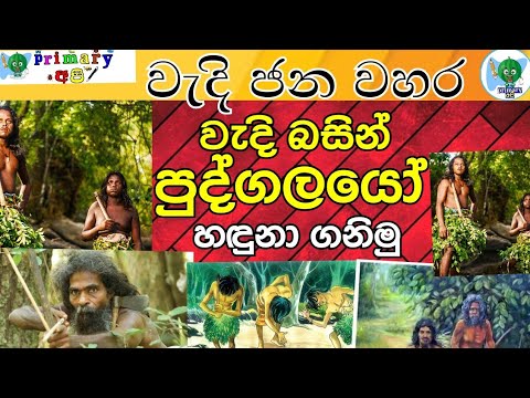 Vedda Language Script වැදි බසින් පුද්ගලයෝ( People in the Vedda language) vedhi basa *primary ...