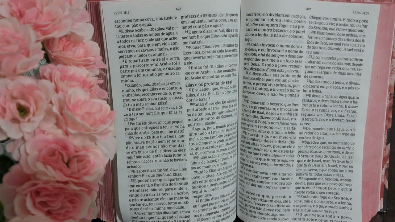 1 REIS - CAPÍTULO 19