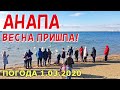 #АНАПА. ПОГОДА 1.03.2020. ВЕСНА ПРИШЛА! ЦЕНТРАЛЬНЫЙ ПЛЯЖ. Лебеди на море. Улица Владимирская.