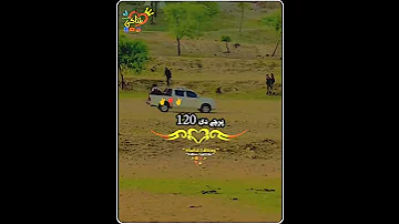 Police Waye Chapay Pashto Song 