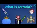 What is Terraria? | 1 Year Anniversary
