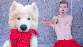 My Puppy is Out of Control! by Chad Wild Clay 2,367,554 views 6 months ago 19 minutes