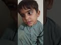 چوہدری صاحب کے جانور