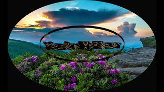 Watch Nitty Gritty Dirt Band You Are My Flower video