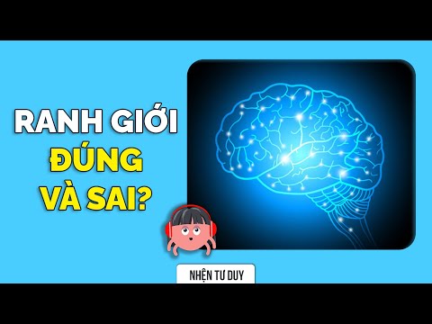Video Tư Duy: Lát Cắt Và Chuỗi | Nhện Tư Duy | Huskywannafly... - youtube
