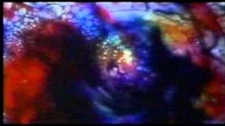 hippy girl freaks out on lsd at love in ;
