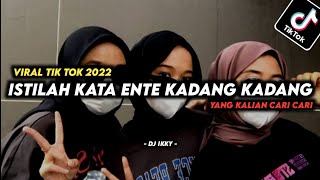 DJ ISTILAH KATA ENTE KADANG KADANG VIRAL TIK TOK TERBARU 2022 FYP TIK TOK