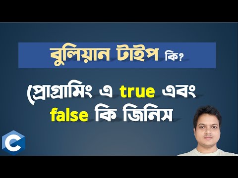 Boolean ডেটাটাইপ কি ? প্রোগ্রামিং এ true false কি? Boolean Type in C programming.