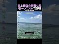 史上最強の無害な魚モーメントTOP8