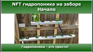 🌱 A new NFT hydroponic system on a fence, plus the plants transplanting🌱