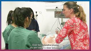 Medical School - Summer Schools 2026