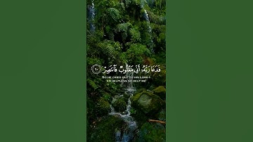 فَدَعَا رَبَّهُ أَنِّي مَغْلُوبٌ فَانتَصِرْ سورة القمر (١٠)