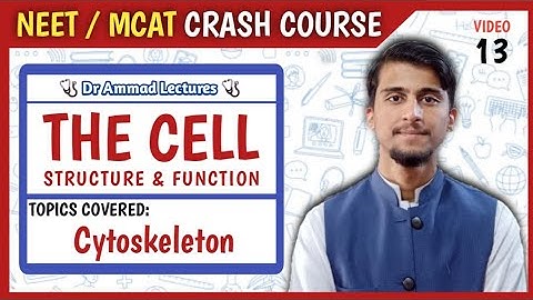 Cytoskeleton || Microtubules, Microfilaments, Intermediate Filaments || Cell Structure & Function