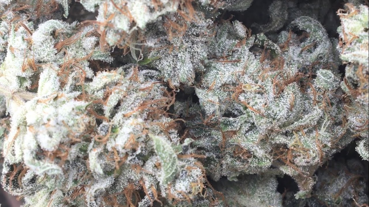 HOW FAST CAN YOU TRIM 2 lb