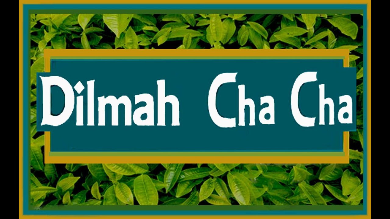 DILMAH CHA CHA* Do Try It! * Line Dance * Shanthie De Mel * Dancercise2health * Australia *Sri Lanka