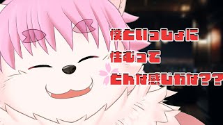 【雑談】僕と住んでみるとどんな感じ？？？