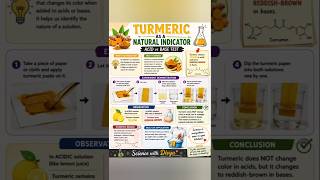 Haldi #turmeric #indicators #new #science #viral #chemistry #plants #trending #music #khanna #magic
