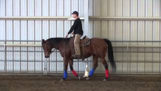 Download Lagu Posting The Trot --  5 Minute Horse Lessons MP3 Download Lagu Posting The Trot --  5 Minute Horse Lessons MP3