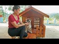 Building A Beautiful Wooden House For Dog, Woodworking Skills, Farm Life | My Farm / Đào