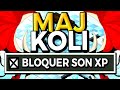 MAJ KOLI: LE BLOCAGE XP sur DOFUS ?!!