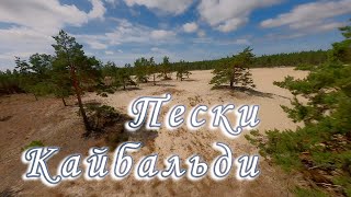 Пески Кайбальди, Эстония | Kaibaldi area of loose sand, Esti