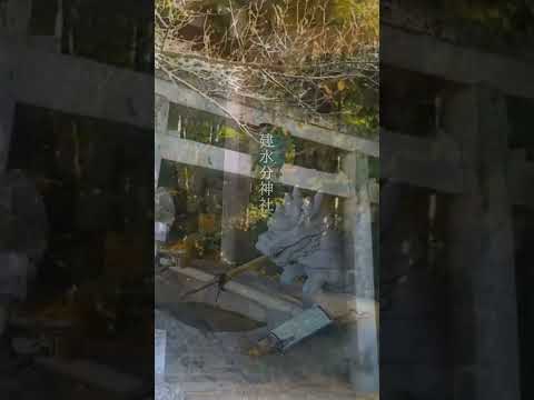 【建水分神社】水神:#shorts #パワースポット :大阪