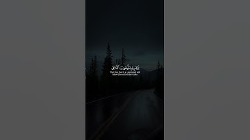 وَيَسۡـَٔلُونَكَ عَنِ ٱلۡجِبَالِ 🌱| تلاوة خاشعة جداً ♥️😌 بصوت #محمد_اللحيدان 🍂🧡 أرح سمعك و قلبك 💙🎧
