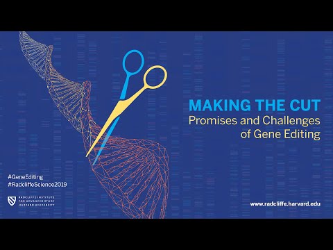 Making the Cut | Session 2: Cardiovascular Disease and Sickle Cell Anemia || Radcliffe Institute thumbnail