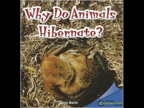 Why Do Animals Hibernate? Read Aloud Along Educational Story Book for Children Kids