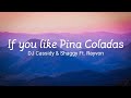 If you like pina coladas dj cassidy and shaggy ft rayvon lyric