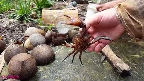 ĐẶT LỢP CÁ BỐNG DỪA BẰNG CHAI NƯỚC   CÁ BỐNG DỪA KHO TIÊU ĐẶC SẢN MIỀN TÂY P1 fishing