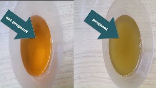vinegar pregnancy test positive and negative |  vinegar  pregnancy test positive vs negative